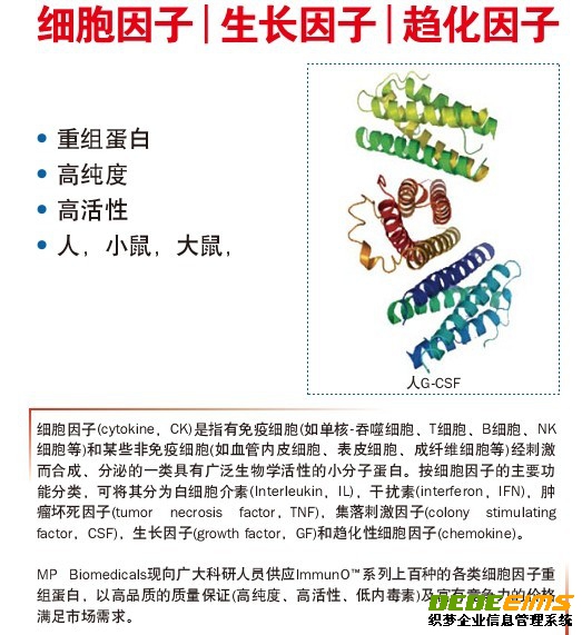 美國MPBIO公司提供重組蛋白、高純度、高活性及低內(nèi)毒素的“細(xì)胞因子”