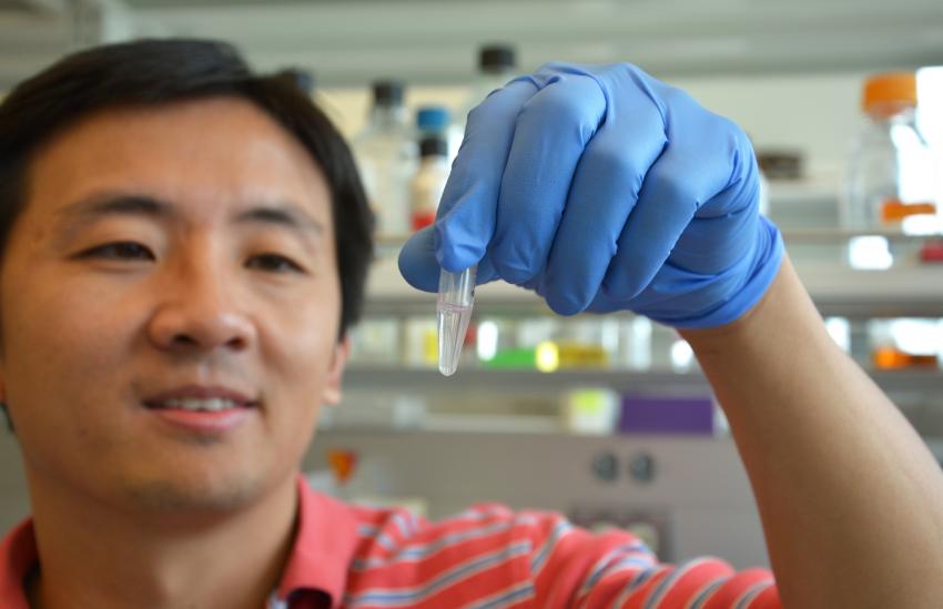 PNAS:研究發(fā)現(xiàn)DNA修復(fù)的關(guān)鍵步驟